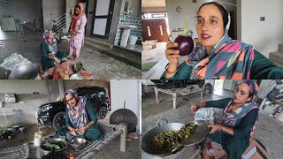 करेले कि सब्जी | Easy & Tasty karela | कही न कही इन सब के जिम्मेदार हम सब ही है | Pal Family Vlogs