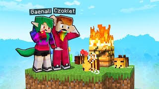 wróciliśmy i zastaliśmy TO... - MINECRAFT PSZCZOŁOBLOK #04