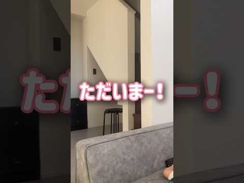 【主帰宅】名前呼ぶと猛ダッシュで主の元にくる猫【とらまる】