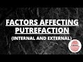 Factors Affecting Decomposition Rates