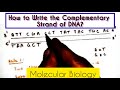 DNA Base Pairing and Complementarity