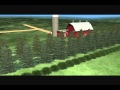 Windbreaks and Their Benefits