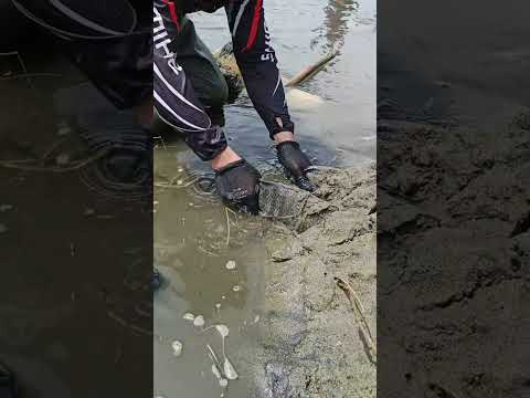 Natrapped sila sa buhangin #viral