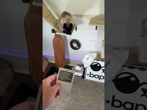 New Phone Who Dis?