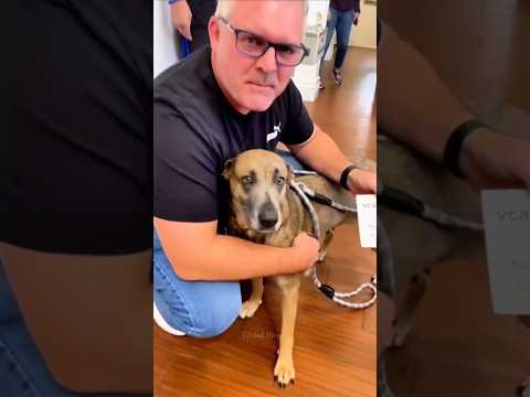 Feel Sad for Michelle and Peter Dog 😢🥰