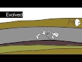 Sedimentary Rock Formation Concepts