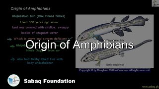 Origin of Amphibians