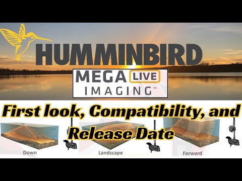 humminbird mega live imaging