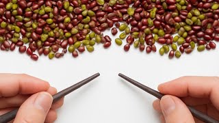 Sorted 10.000 Beans 🫘🫛 Oddly Satisfying ASMR | Extreme Bean Sorting Challenge | So Satisfying