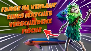 Fange im VERLAUF eines MATCHES verschiedene FISCHE | AQUAMAN WOCHE 3