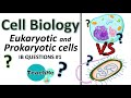 Cell Structure and Function Concepts