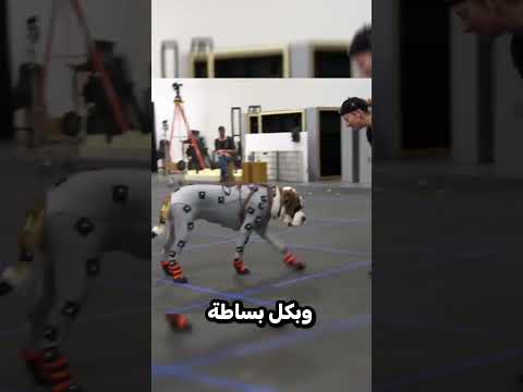 الكلاب تمثل حركات الخرفان😨🐑!  #gaming #شورتس #شورت #العاب #gameshorts #صنع_العاب