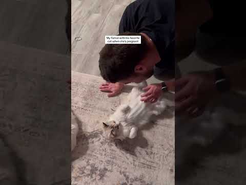 Justin is a soon to be cat granddad