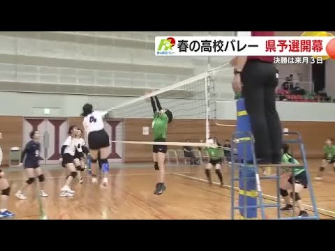 春の高校バレー　鹿児島県予選開幕　決勝は11月3日 (25/10/31 18:43)
