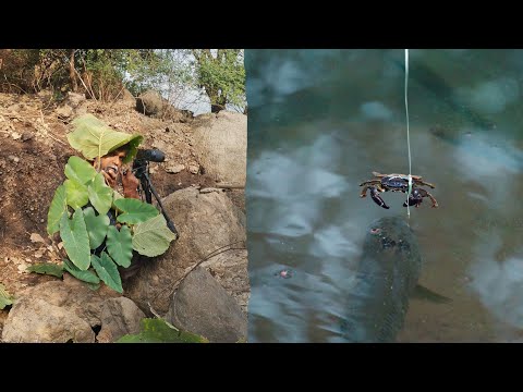 अशा प्रकारे मी टिपले दुर्मिळ दृश्य, this is how I captured rare footage