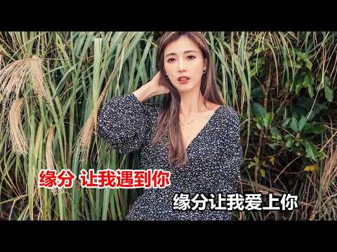 高安  思思念念全是你 MTV