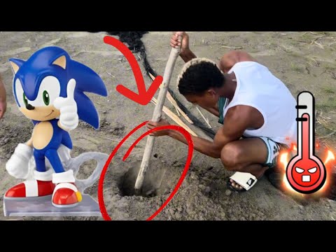 Encontramos a Sonic !! Increíble lo atraparon !!