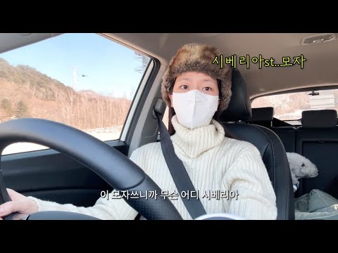 부모님 모시고 강원도 태백 힐링 여행 🚙💨 (태백 호텔 추천, 실비 식당, 몽토랑 산양 목장🩵)