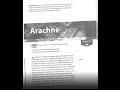 Arachne and Greek Mythology Themes