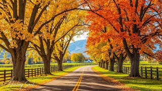 Beautiful Relaxing Music 🍁 Stop Overthinking, Stress Relief Music 🌿 Gentle Music