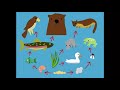 Understanding Food Web Dynamics