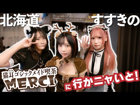 メイド喫茶に行ってみたいんだ‼️可愛い女と飲みたいんだ‼️【猫耳ゴシックメイド喫茶MERCI】