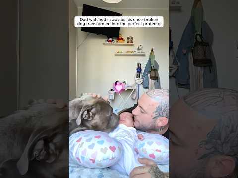 This dog instantly fell for the baby and became her big brother