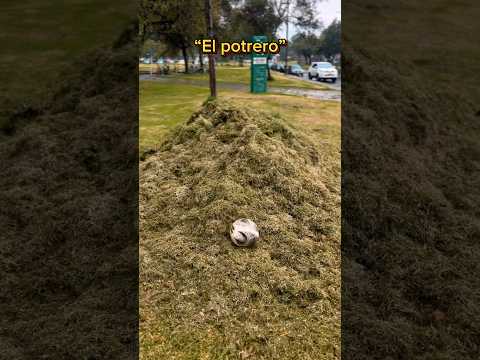 El potrero🐄⚽️#futbol #amigos #humor #viralvideo #viralshorts