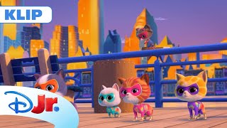 🥳 Piżama party | Superkoty | Disney Junior Polska