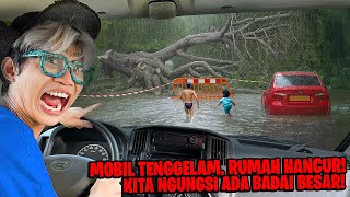 NGERI!!! Mobil Tenggelam, Hancur Kena POHON JUMBO ROBOH di Jalan!!! Masyarakat PANIK!!!