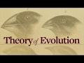 Evolution and Natural Selection Concepts