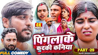 पिंगलाके कुदकी कनिया (Part-29)#Gamgharcomedy//Maithili Serial#Comedy2025