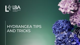 HOW TO REVIVE CUT HYDRANGEA | HYDRANGEA TIPS AND TRICKS | LBA TUTORIAL