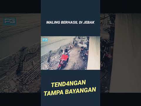 MALING BERHASIL DI JEBAK || jurus Tendangan Tampa bayangan