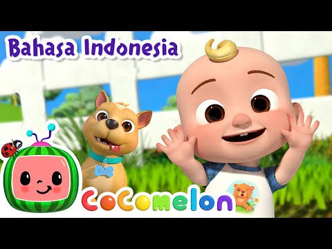 Anjingku Bingo! 🐶 | CoComelon Bahasa Indonesia - Lagu Anak Anak | Nursery Rhymes
