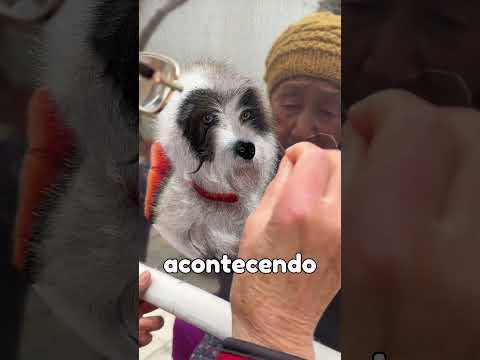 ESSA OBRA É BEM DIFERENTE! #curiosidades