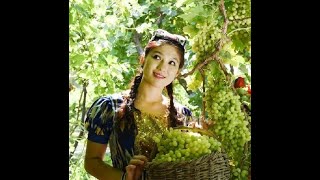 吐魯番的葡萄熟了 - 原唱: 羅天嬋