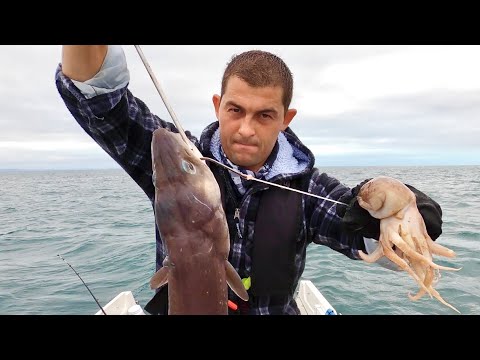 UK Boat Fishing - CONGER EEL fishing on a reef at anchor - The Fish Locker