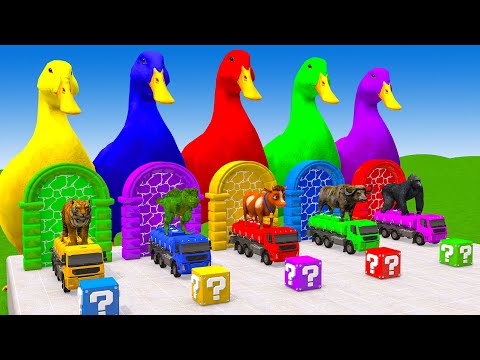 Long Slide Game With Elephant Gorilla Buffalo Hippopotamus Tiger - 3d Animal Game - Funny 3d Animals