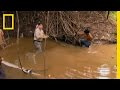 Electric Eel Capture Adventure