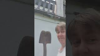 in den 30 gern und 40 gern waren sie schon mal weiter mit der #Gleichberechtigung
