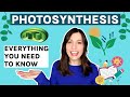 Photosynthesis and the Calvin Cycle