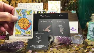 DIVINE FEMININE 🌹 IMMUNE to Rejection & Betrayal ✨ DM Out of Confusion | GOD SAYS NEVER AGAIN