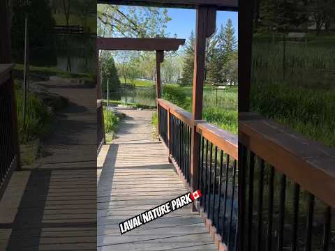Laval Nature Park Walk  #laval