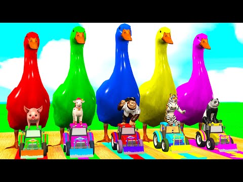 5 Giant Duck Cartoon,Cow,Elephant,Tiger,Lion,Dinosaur,Paint Wild Animals Crossing Fountain Animation