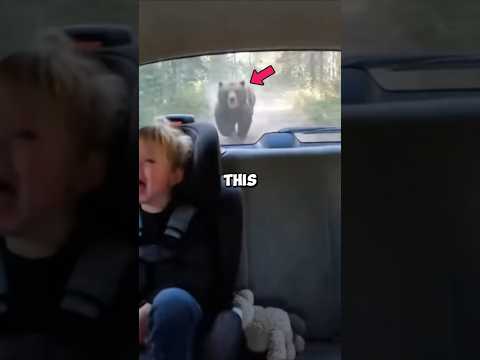 This Man and His Family Were Chased by a Grizzly Bear… Then a Black Panther Saved Them!