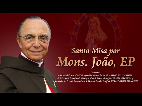 🔴 SANTA MISA EN VIVO  por Mons. João S. Clá Dias /  SÁBADO 2 /11 - 14:00 hrs.