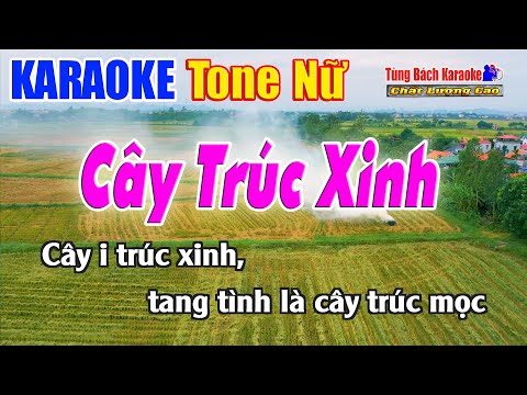 Cây Trúc Xinh Karaoke ( Tone Nữ ) Beat Chuẩn Nhạc Sống Tùng Bách
