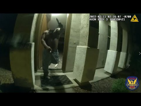 Terrifying body-cam video shows ambush of Phoenix officer