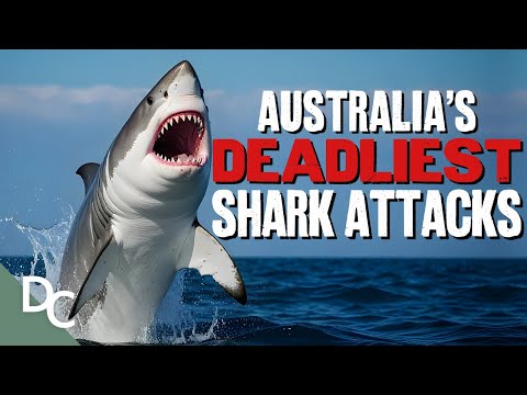 The Deadliest Shark Attacks In Australian History | Savage Australia | @DocoCentral